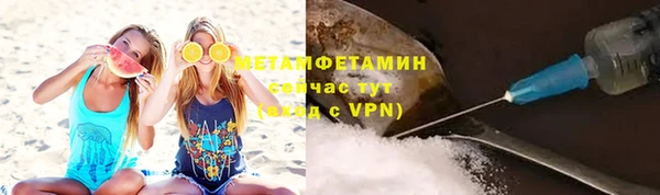 ГАЛЛЮЦИНОГЕННЫЕ ГРИБЫ Бородино