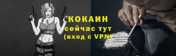 ГАЛЛЮЦИНОГЕННЫЕ ГРИБЫ Бородино