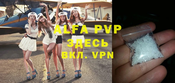 ГАЛЛЮЦИНОГЕННЫЕ ГРИБЫ Бородино