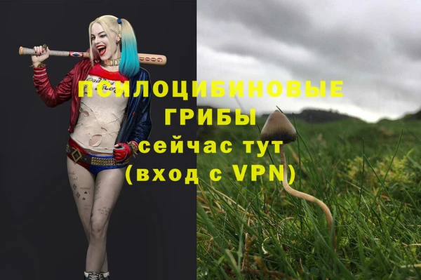 ГАЛЛЮЦИНОГЕННЫЕ ГРИБЫ Бородино