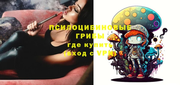 ГАЛЛЮЦИНОГЕННЫЕ ГРИБЫ Бородино